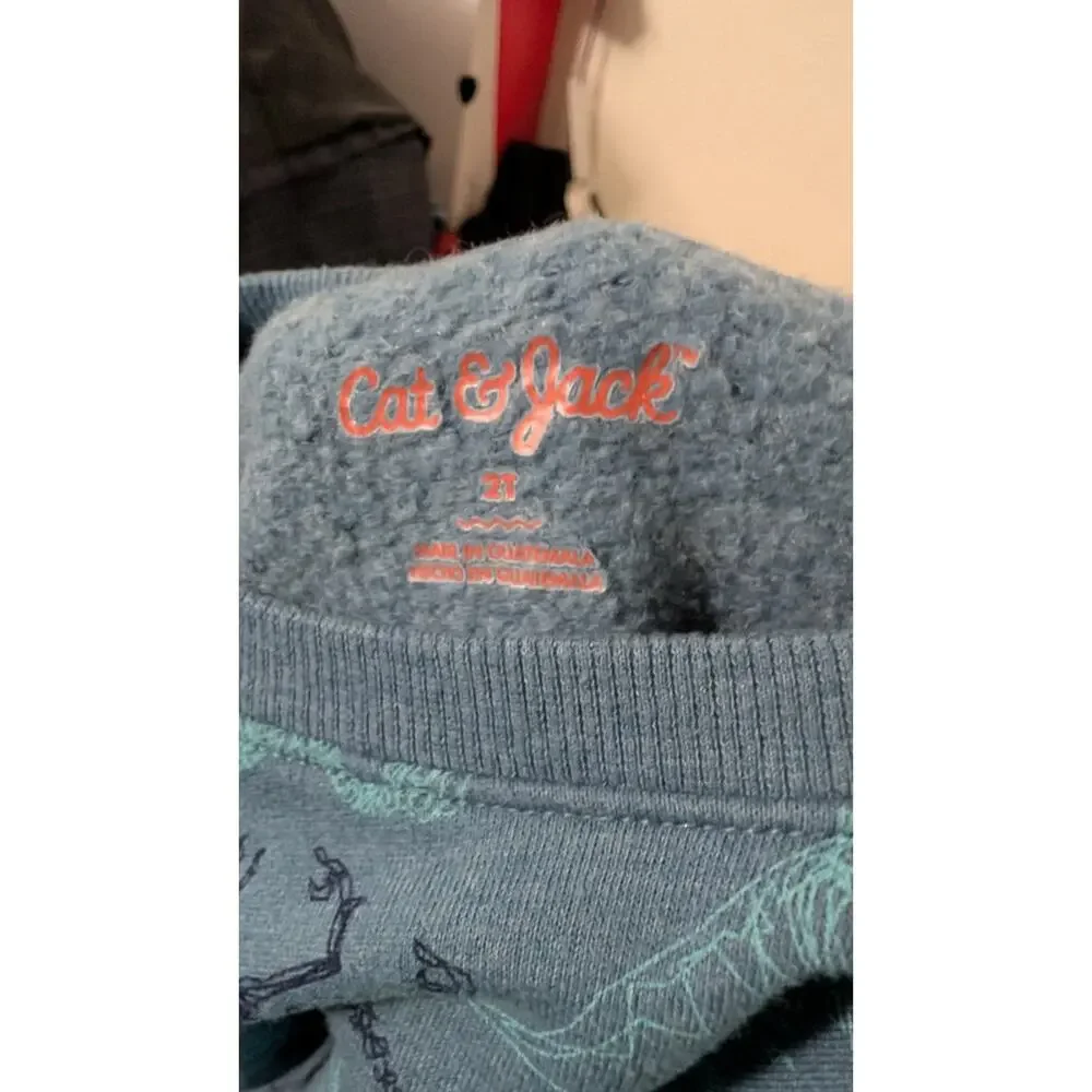 Boys Size 2T Outfit Blue Cat & Jack Dino Sweatshirt & Gray Carter's Sweatpants